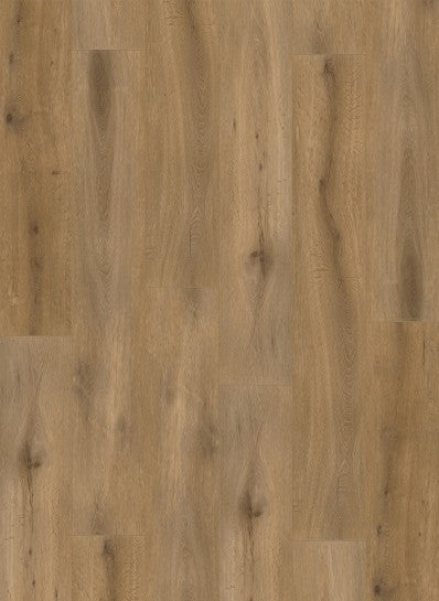 Callisto 4102 (dryback)