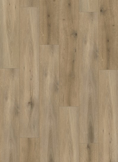 Callisto 4103 (dryback)