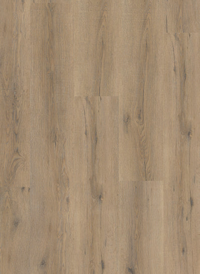 City 4600 (dryback)