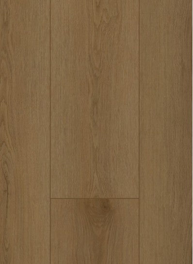 Firmfit Silent 7503 (rigid click)