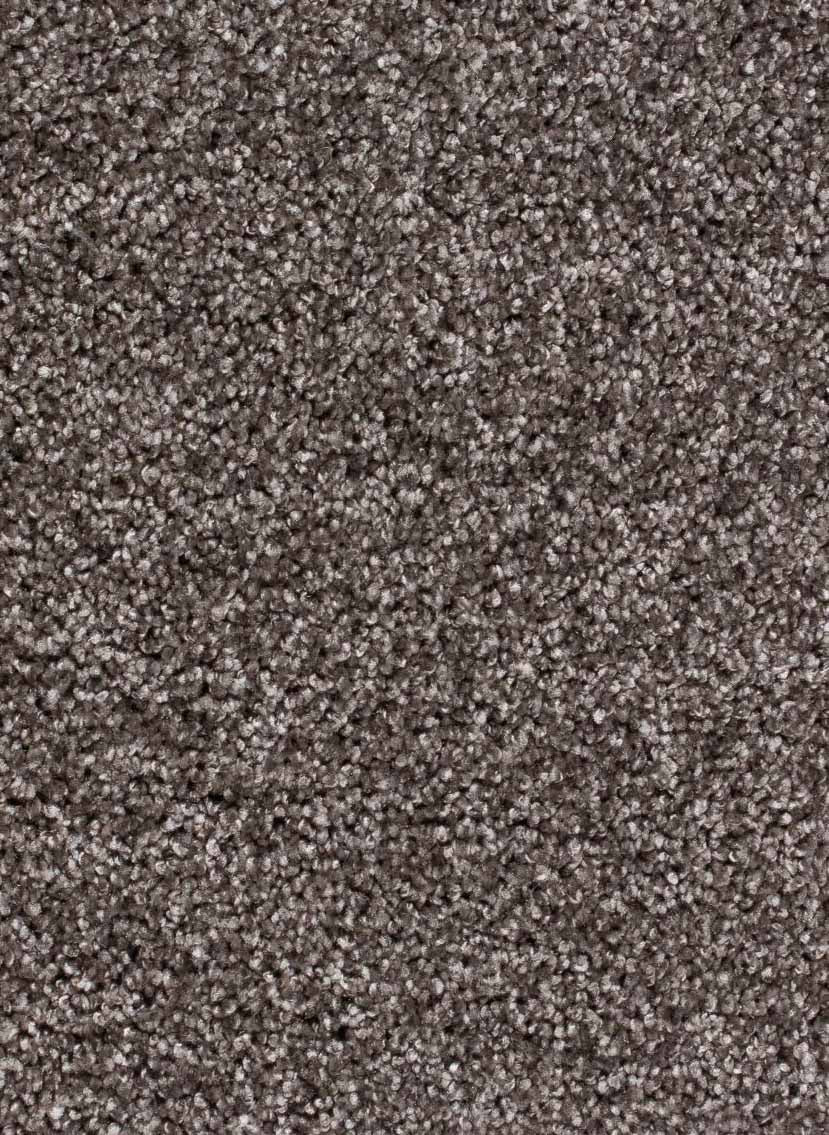 Montana tapijt | Gelasta BV