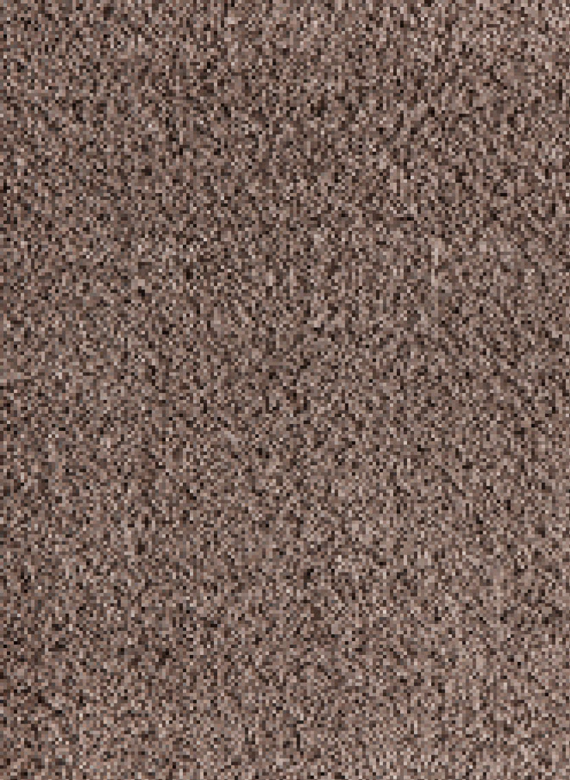 Season tapijt | Gelasta BV