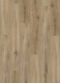 Callisto 4103 (dryback)