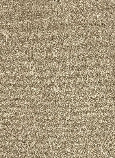 Da Vinci 91