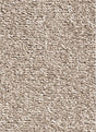 Da Vinci 93