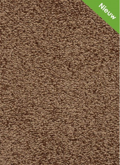 Euphoria SDN 50