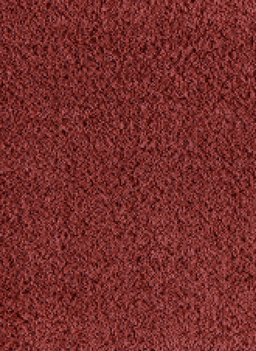 Season tapijt | Gelasta BV
