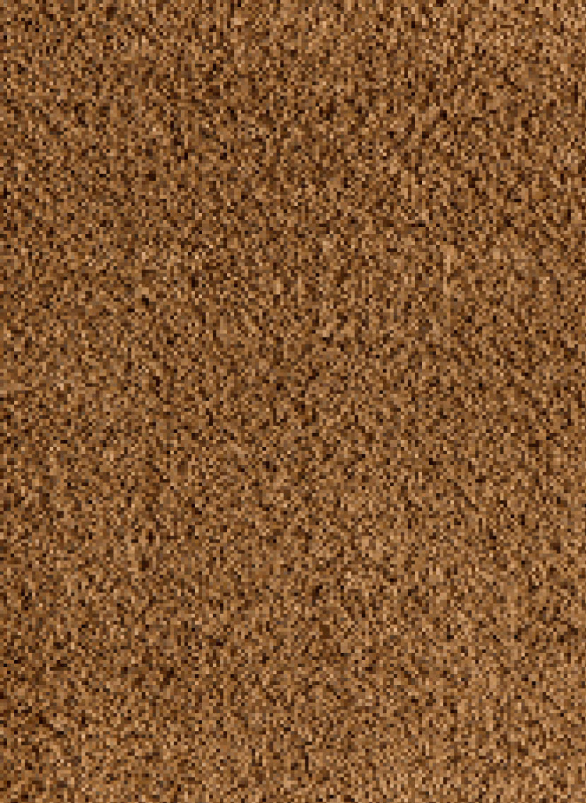 Season tapijt | Gelasta BV