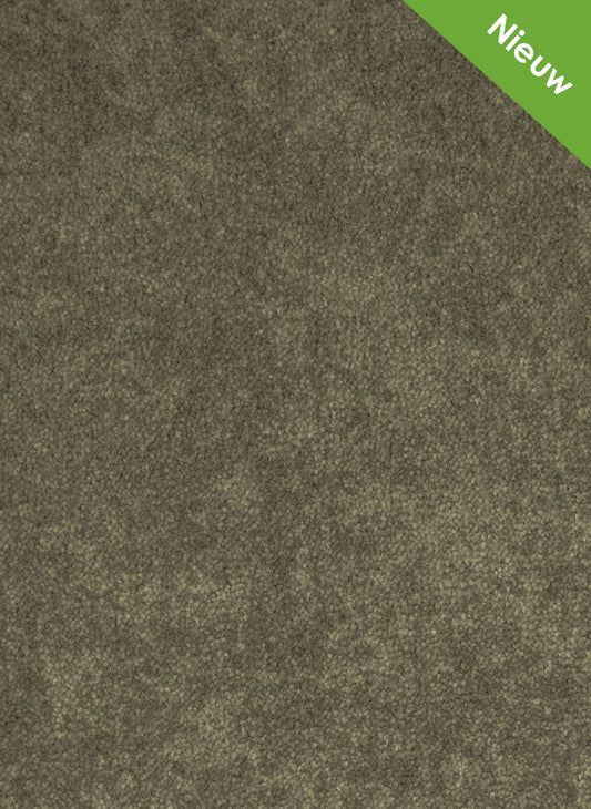 Shadow tapijt | Gelasta BV