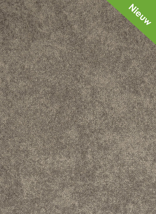Shadow tapijt | Gelasta BV